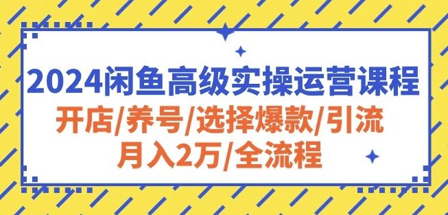 2024闲鱼高级实操运营课程：开店/养号/选择爆款/引流/月入2万/全流程-新星起源