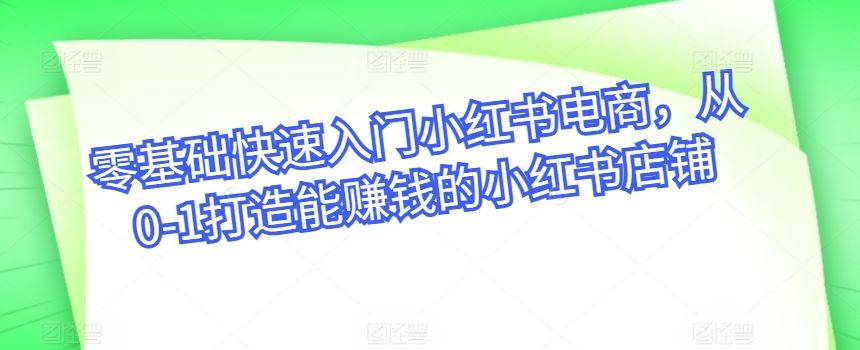 零基础快速入门小红书电商，从0-1打造能赚钱的小红书店铺-新星起源