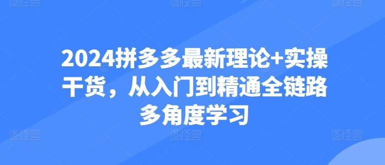 2024拼多多最新理论+实操干货，从入门到精通全链路多角度学习-新星起源