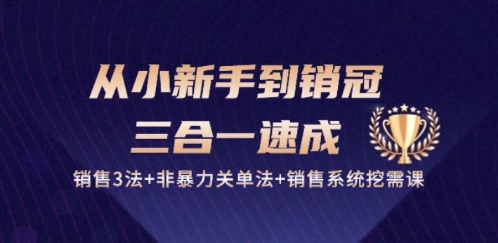 从小新手到销冠 三合一速成：销售3法+非暴力关单法+销售系统挖需课 (27节)-新星起源