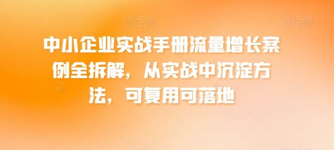 中小企业实战手册流量增长案例全拆解，从实战中沉淀方法，可复用可落地-新星起源