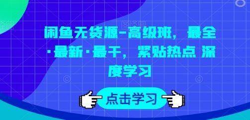 闲鱼无货源-高级班，最全·最新·最干，紧贴热点 深度学习-新星起源