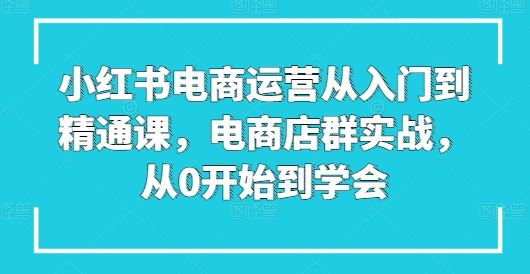 小红书电商运营从入门到精通课，电商店群实战，从0开始到学会-新星起源