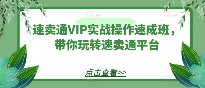 速卖通VIP实战操作速成班，带你玩转速卖通平台-新星起源