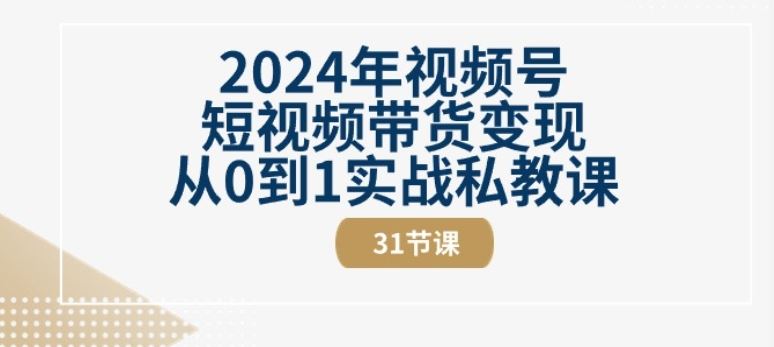 2024年视频号短视频带货变现从0到1实战私教课(31节视频课)-新星起源