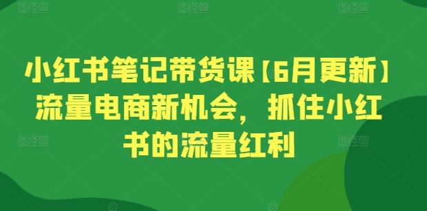 小红书笔记带货课【6月更新】流量电商新机会，抓住小红书的流量红利-新星起源