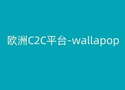 欧洲C2C平台-wallapop-kim跨境电商教程-新星起源