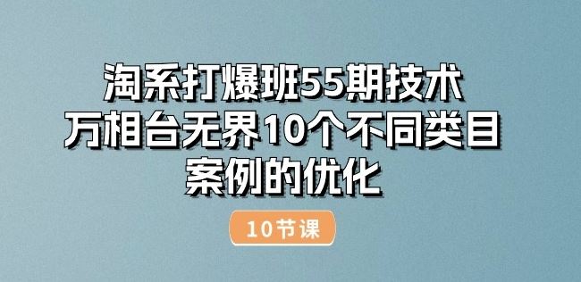 淘系打爆班55期技术：万相台无界10个不同类目案例的优化(10节)-新星起源