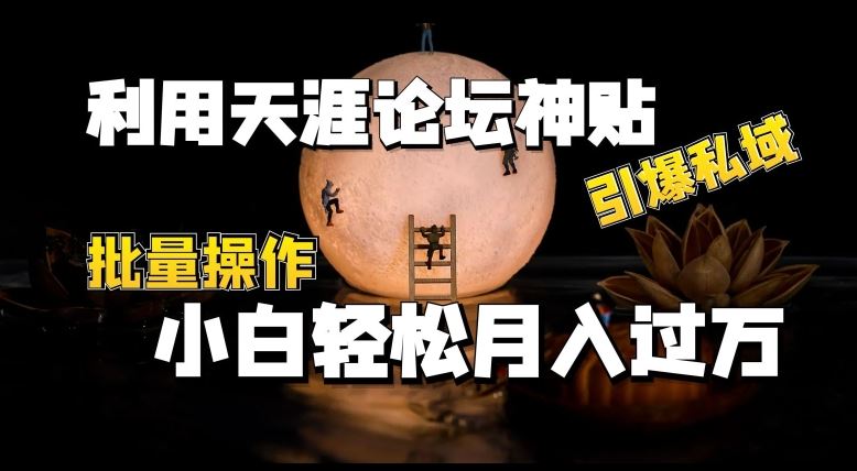 利用天涯论坛神贴，引爆私域，批量操作，小白轻松月入过w【揭秘】-新星起源