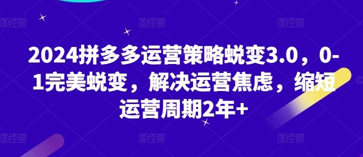 2024拼多多运营策略蜕变3.0，0-1完美蜕变，解决运营焦虑，缩短运营周期2年+-新星起源