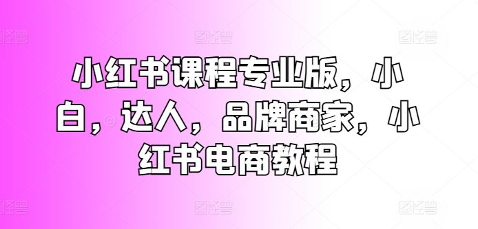 小红书课程专业版，小白，达人，品牌商家，小红书电商教程-新星起源