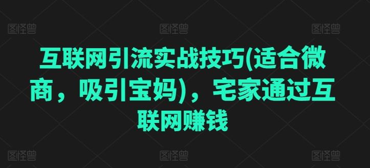 互联网引流实战技巧(适合微商，吸引宝妈)，宅家通过互联网赚钱-新星起源