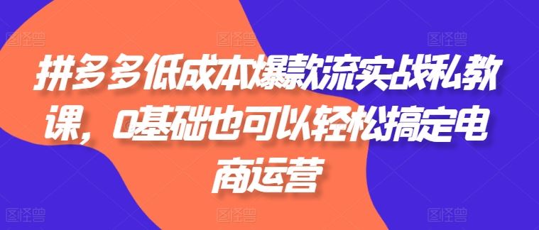 拼多多低成本爆款流实战私教课，0基础也可以轻松搞定电商运营-新星起源