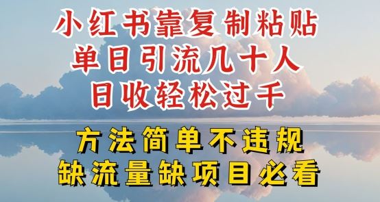 小红书靠复制粘贴单日引流几十人目收轻松过千，方法简单不违规【揭秘】-新星起源