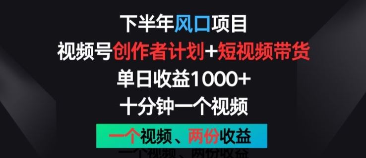 下半年风口项目，视频号创作者计划+视频带货，一个视频两份收益，十分钟一个视频【揭秘】-新星起源