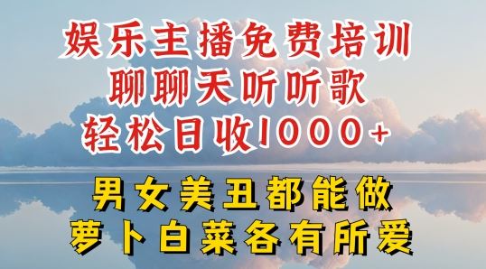 娱乐主播免费培训聊聊天听听歌轻松日收1K+，男女美丑都能做萝卜白菜各有所爱【揭秘】-新星起源