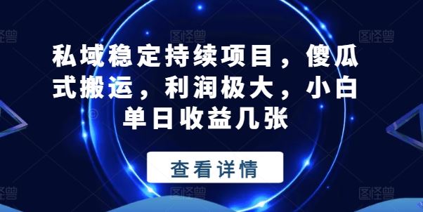 私域稳定持续项目，傻瓜式搬运，利润极大，小白单日收益几张【揭秘】-新星起源