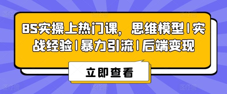 8S实操上热门课，思维模型|实战经验|暴力引流|后端变现-新星起源