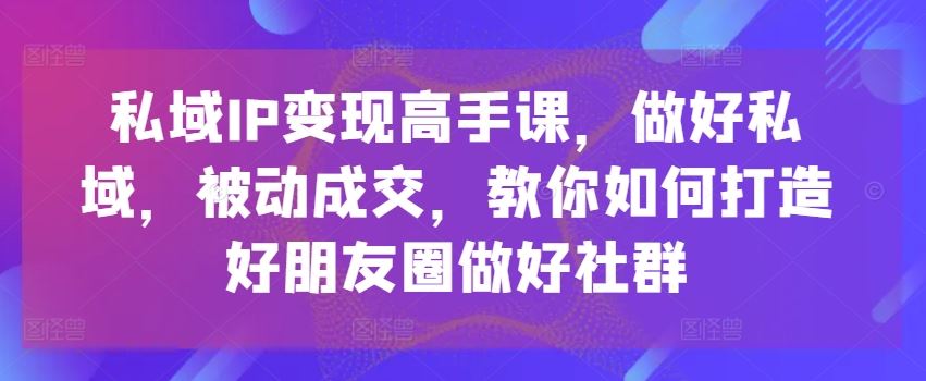 私域IP变现高手课，做好私域，被动成交，教你如何打造好朋友圈做好社群-新星起源