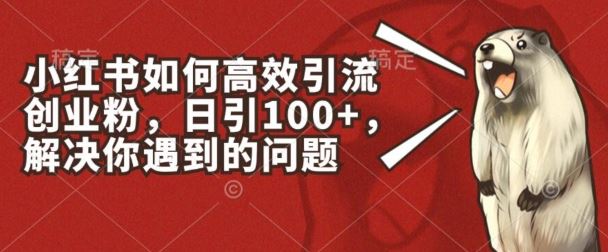 小红书如何高效引流创业粉，日引100+，解决你遇到的问题【揭秘】-新星起源