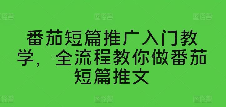 番茄短篇推广入门教学，全流程教你做番茄短篇推文-新星起源