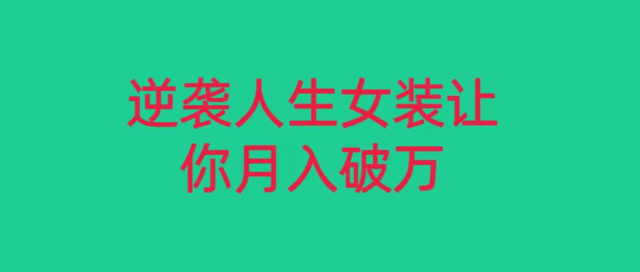 小红书女装无货源月入过万，只要努力就会有成效！-新星起源