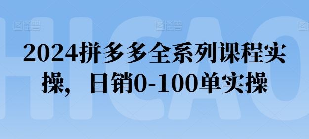 2024拼多多全系列课程实操，日销0-100单实操【必看】-新星起源