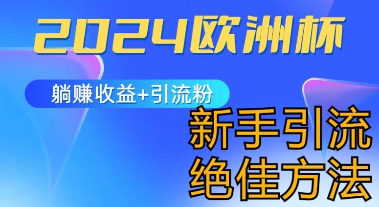 2024欧洲杯风口的玩法及实现收益躺赚+引流粉丝的方法，新手小白绝佳项目【揭秘】-新星起源