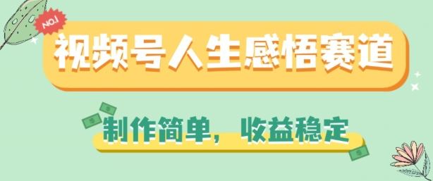 视频号人生感悟赛道，制作简单，收益稳定【揭秘】-新星起源