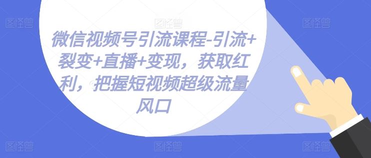 微信视频号引流课程-引流+裂变+直播+变现，获取红利，把握短视频超级流量风口-新星起源