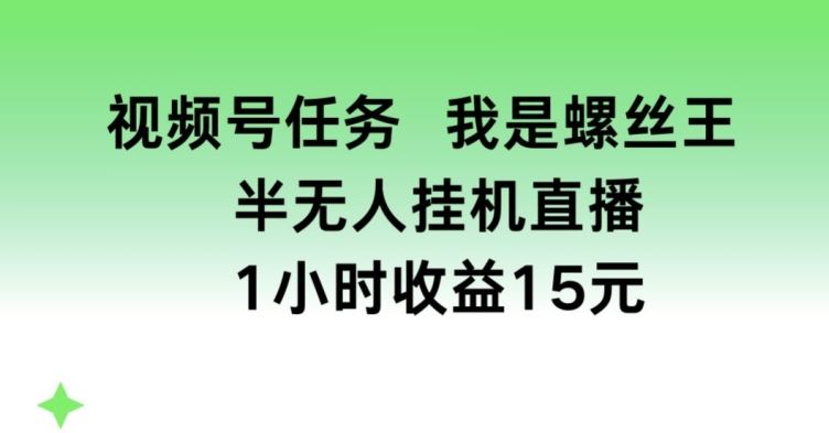 视频号任务，我是螺丝王， 半无人挂机1小时收益15元【揭秘】-新星起源