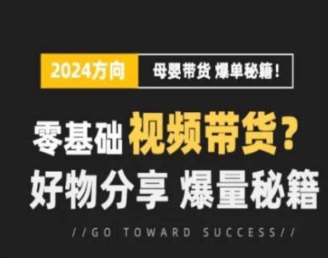 短视频母婴赛道实操流量训练营，零基础视频带货，好物分享，爆量秘籍-新星起源