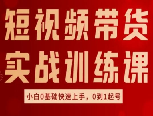 短视频带货实战训练课，好物分享实操，小白0基础快速上手，0到1起号-新星起源