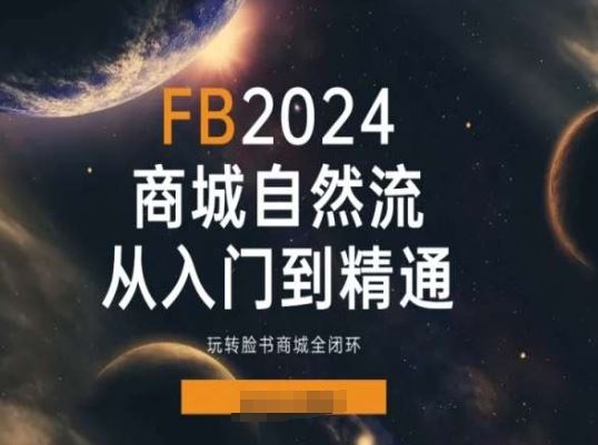 2024Faceboo商城自然流(从入门到精通)，玩转脸书商城全闭环-新星起源