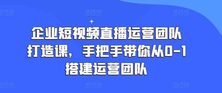 企业短视频直播运营团队打造课，手把手带你从0-1搭建运营团队-新星起源