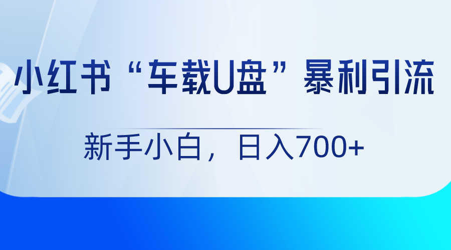 小红书“车载U盘”项目，暴利引流，新手小白轻松日入700+-新星起源