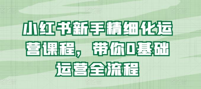 小红书新手精细化运营课程，带你0基础运营全流程-新星起源