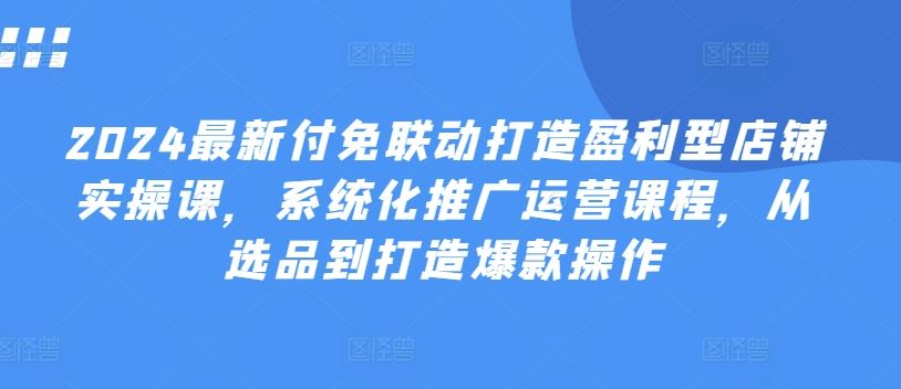 2024最新付免联动打造盈利型店铺实操课，​系统化推广运营课程，从选品到打造爆款操作-新星起源