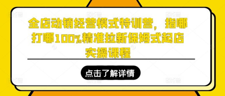 全店动销经营模式特训营，指哪打哪100%精准拉新保姆式起店实操课程-新星起源