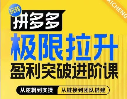 拼多多极限拉升盈利突破进阶课，​从算法到玩法，从玩法到团队搭建，体系化系统性帮助商家实现利润提升-新星起源