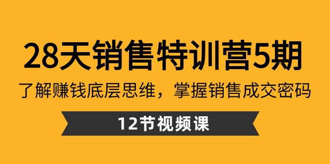 28天销售特训营5期：了解赚钱底层思维，掌握销售成交密码（12节课）-新星起源