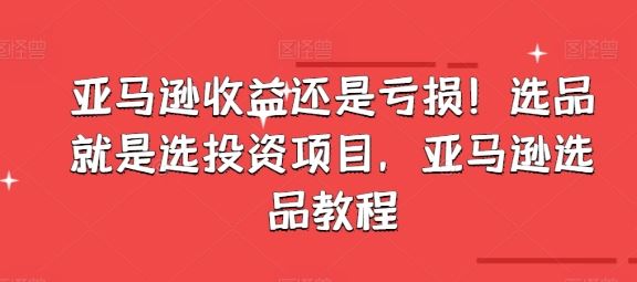 亚马逊收益还是亏损！选品就是选投资项目，亚马逊选品教程-新星起源