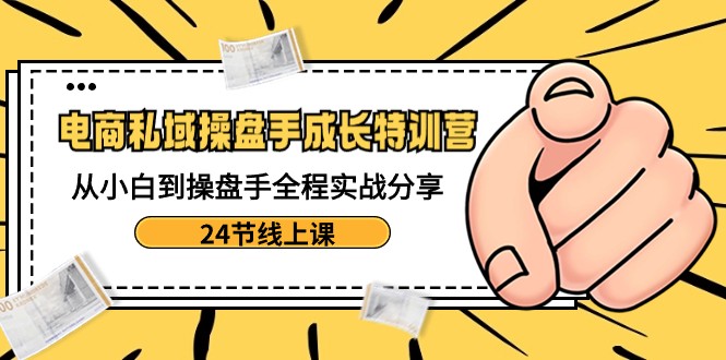 电商私域操盘手成长特训营：从小白到操盘手全程实战分享-24节线上课-新星起源