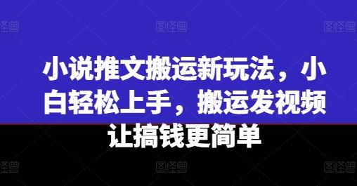 小说推文搬运新玩法，小白轻松上手，搬运发视频让搞钱更简单-新星起源