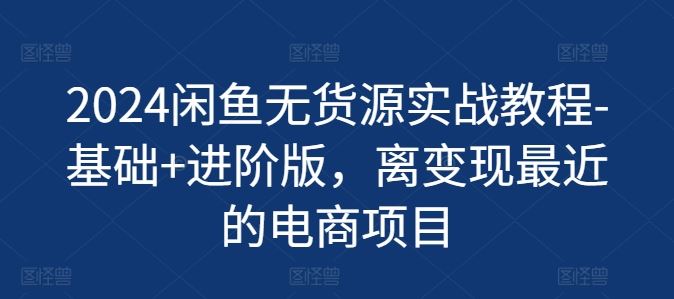 2024闲鱼无货源实战教程-基础+进阶版，离变现最近的电商项目-新星起源