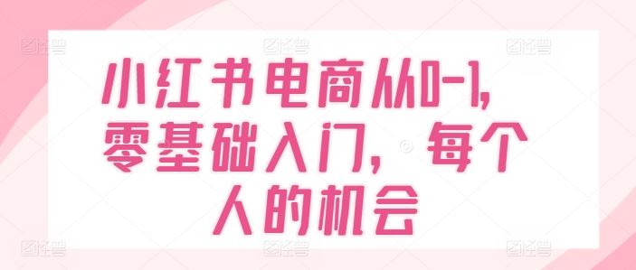 小红书电商从0-1，零基础入门，每个人的机会-新星起源