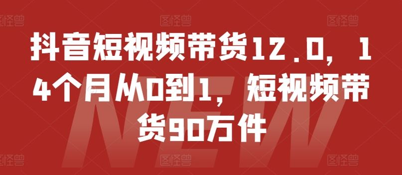 抖音短视频带货12.0，14个月从0到1，短视频带货90万件-新星起源