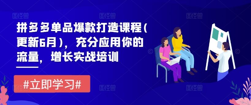 拼多多单品爆款打造课程(更新6月)，充分应用你的流量，增长实战培训-新星起源