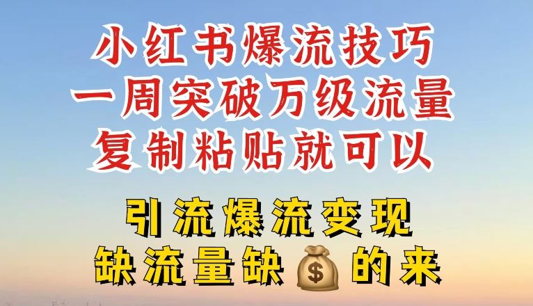 小红书爆流技巧，一周突破万级流量，复制粘贴就可以，引流爆流变现【揭秘】-新星起源