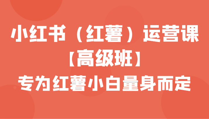 小红书（红薯）运营课【高级班】，专为红薯小白量身而定（42节课）-新星起源